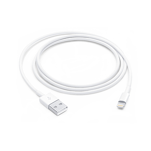 Apple Lightning to USB Cable 1m V1